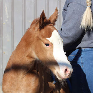 Meet your Posher, Dani